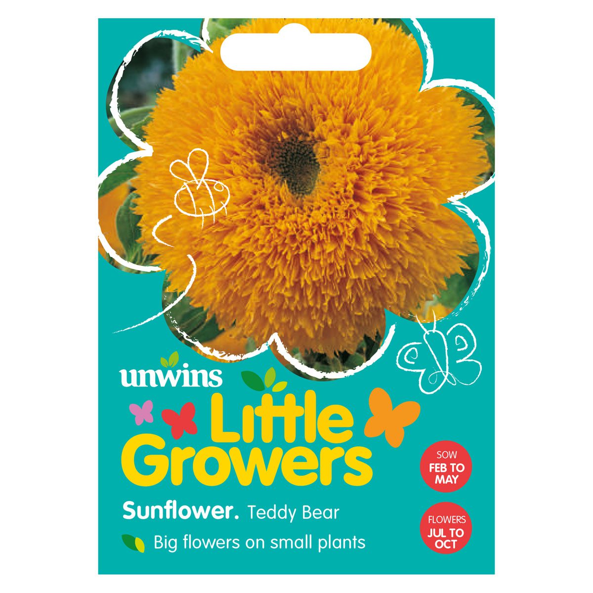 5051618011402 1 Little Growers Sunflower Teddy Bear Seeds.jpg